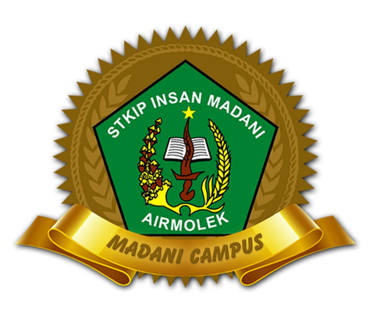 logo STKIP Insan Madani Airmolek