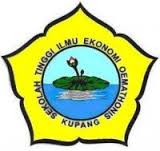 logo Sekolah Tinggi Ilmu Ekonomi Oemathonis