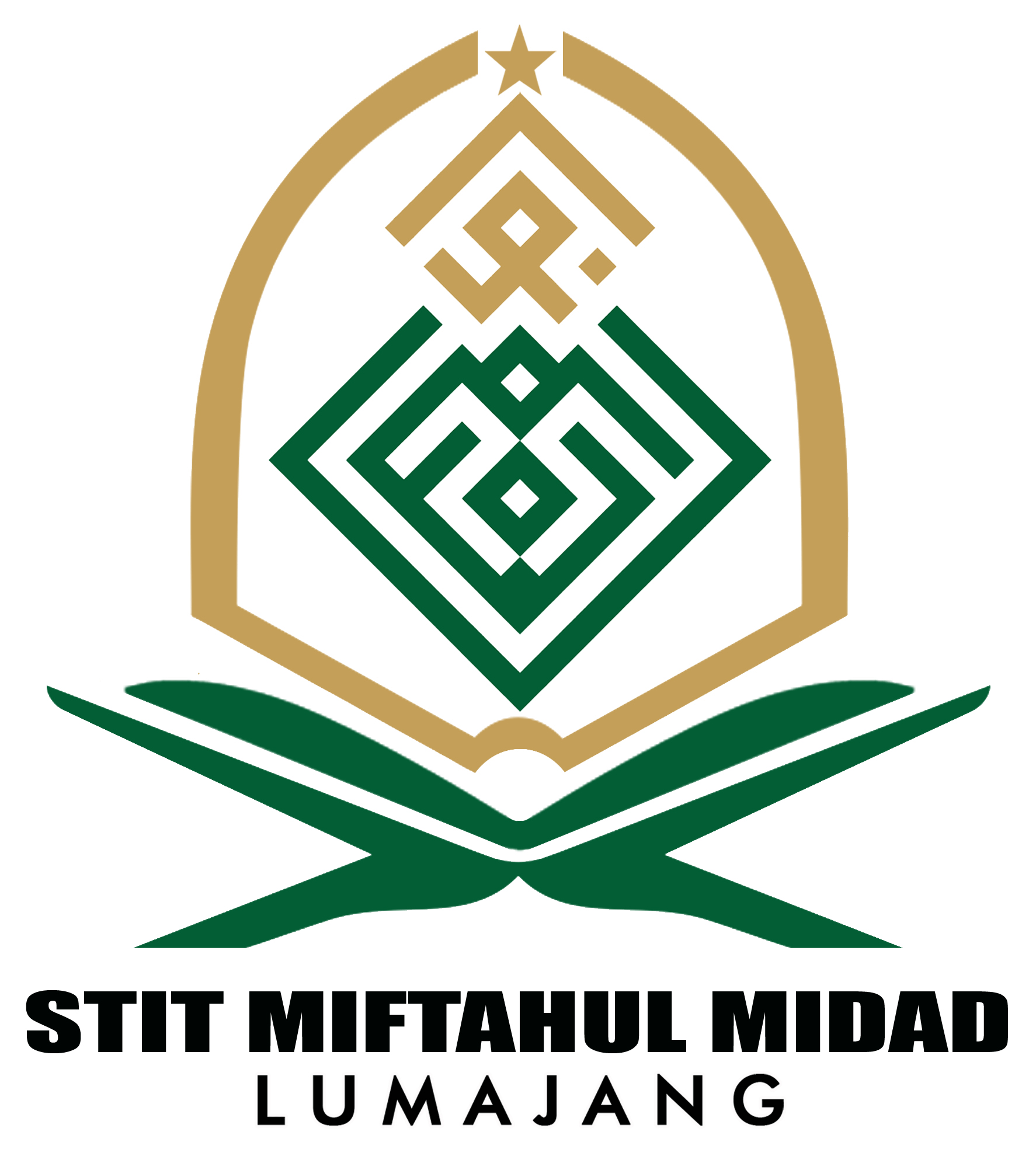 logo Sekolah Tinggi Ilmu Tarbiyah Miftahul Midad Lumajang